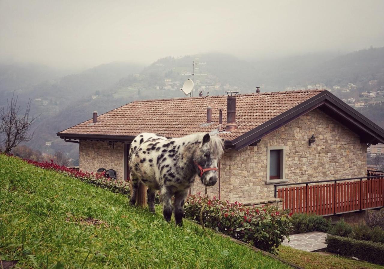 Вилла Casa Martina Zogno Экстерьер фото